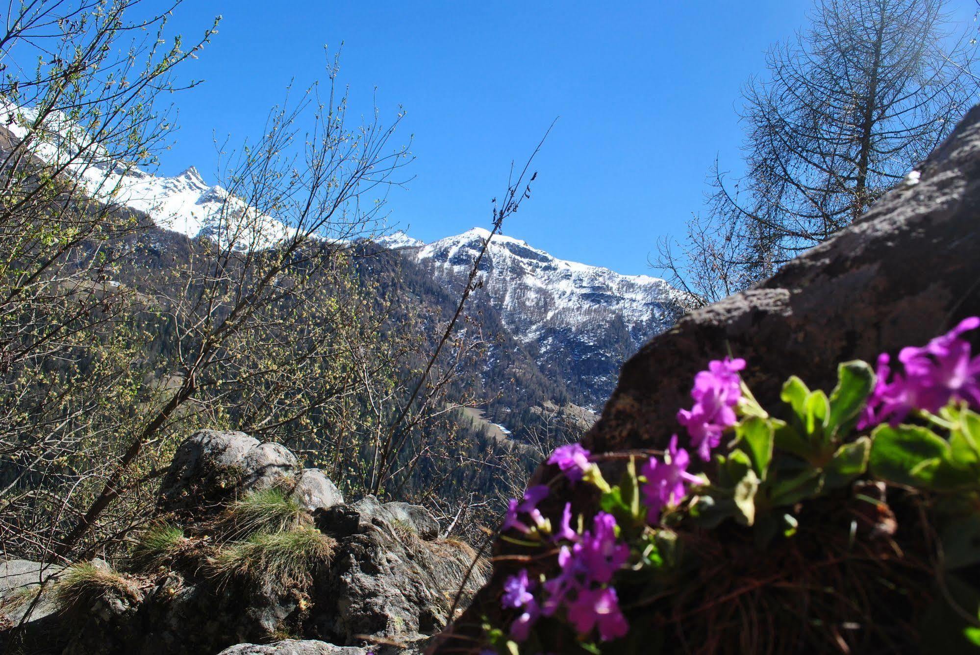 Hotell Millefiori- Alpine Event Lodge 瓦托内切 外观 照片
