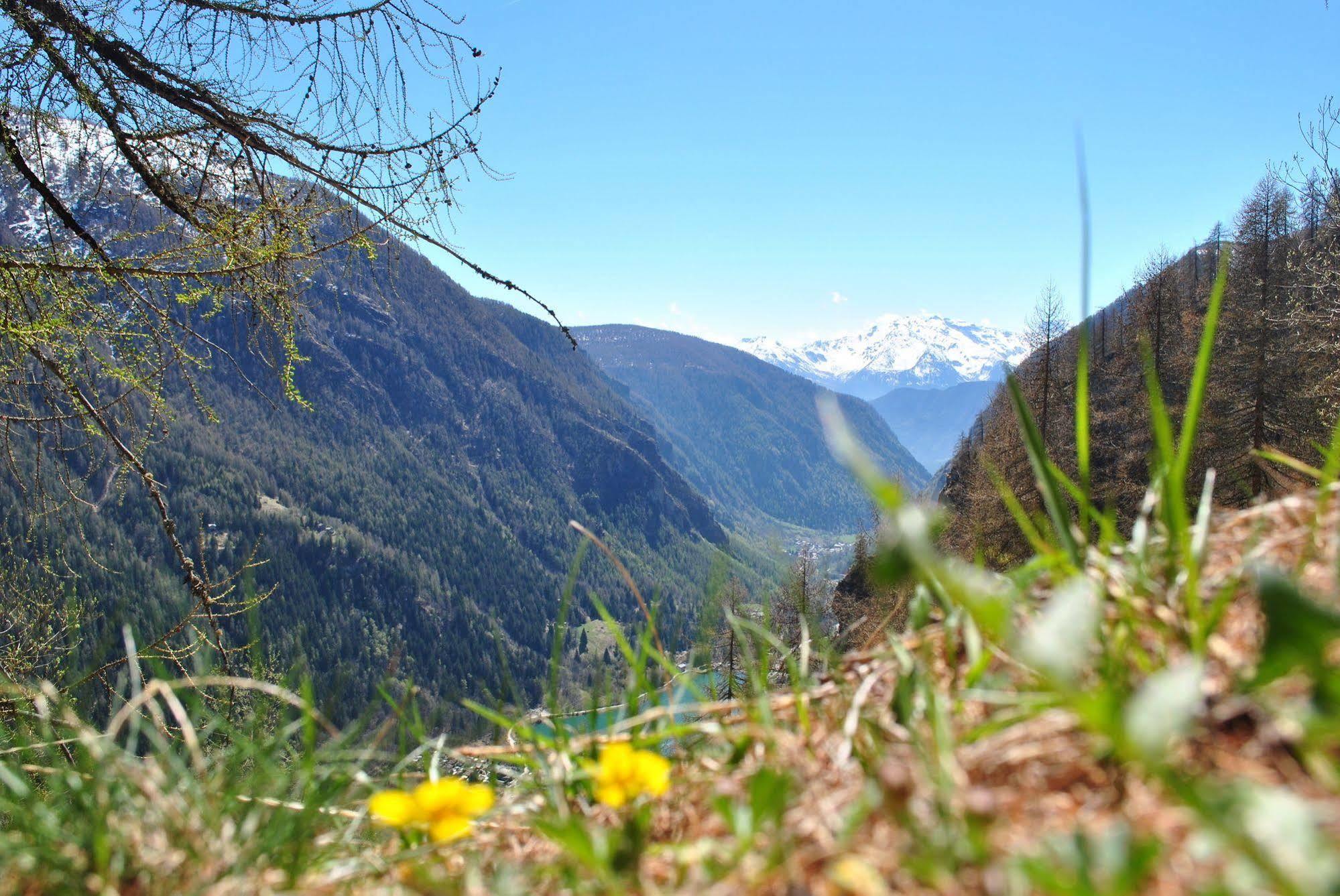 Hotell Millefiori- Alpine Event Lodge 瓦托内切 外观 照片