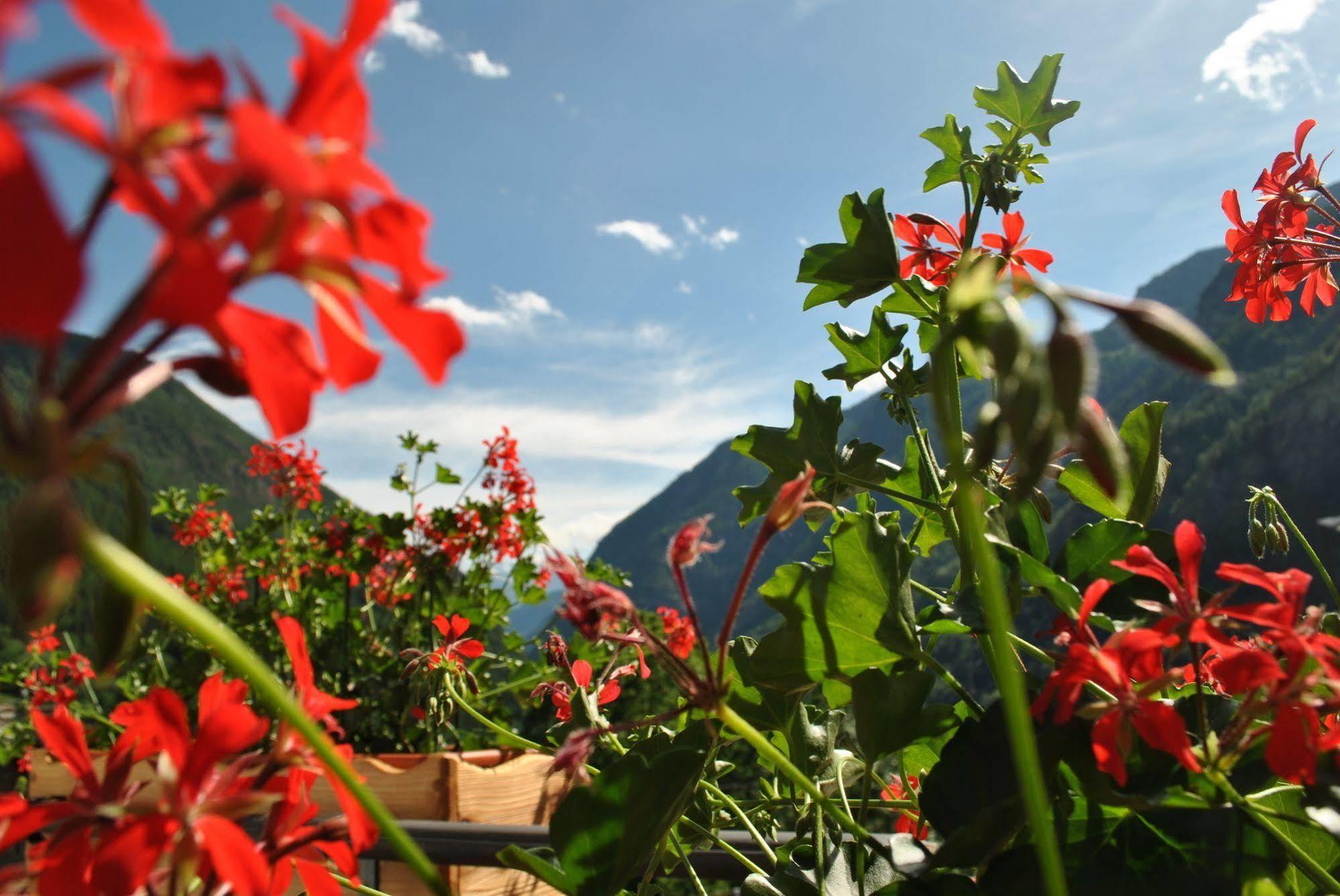 Hotell Millefiori- Alpine Event Lodge 瓦托内切 外观 照片