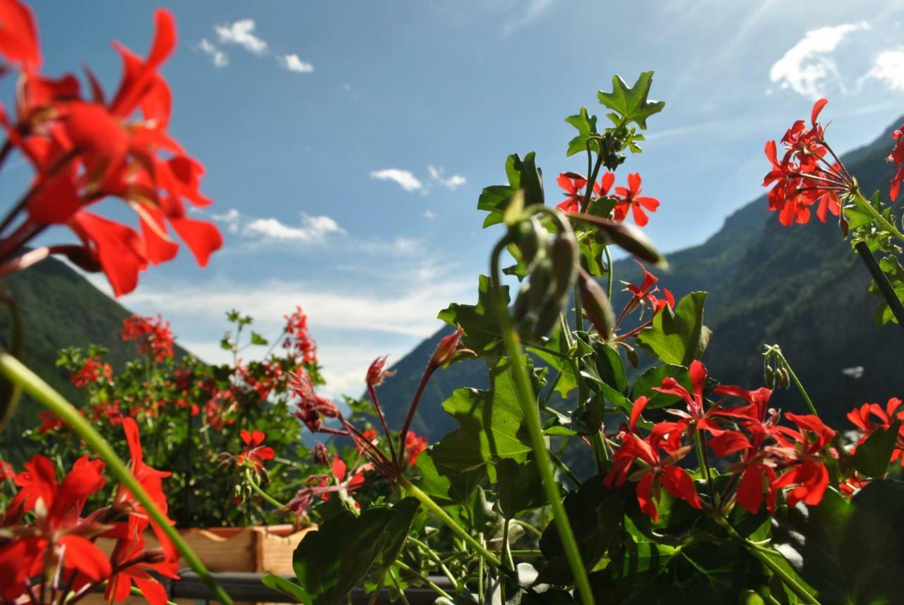 Hotell Millefiori- Alpine Event Lodge 瓦托内切 外观 照片